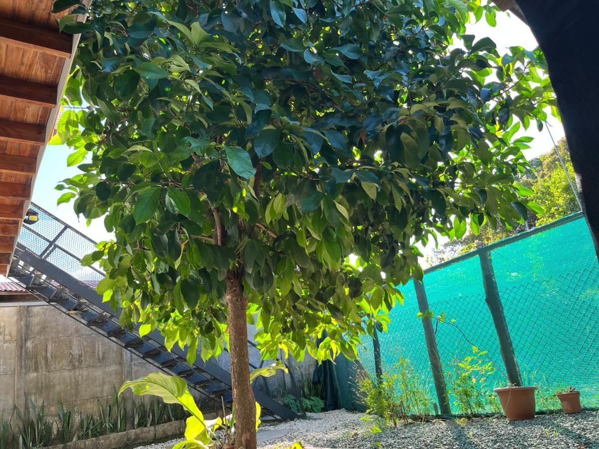 Apartamento Mango Y Cafe Lagunilla  Luaran gambar